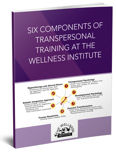 Six Components of Transpersonal Training at the Wellness Institute